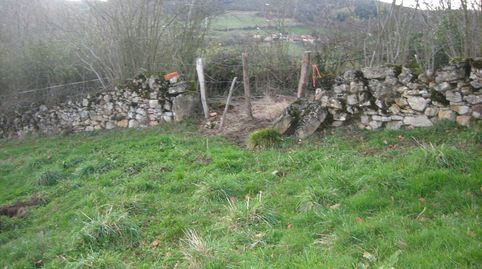 VENTA DE FINCA CON CABAÑA DE PIEDRA, imagen 5