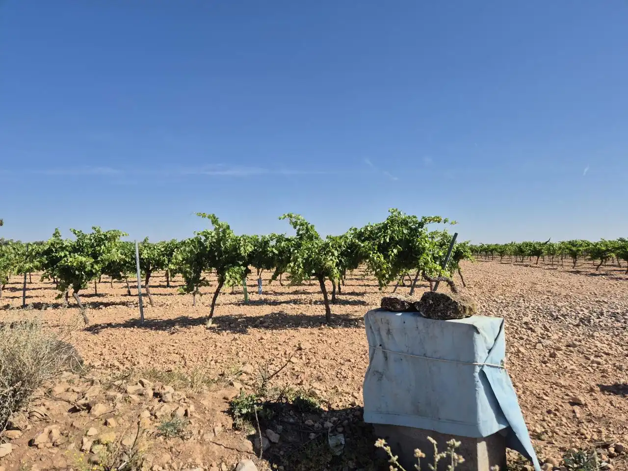 Terreno rustico in vendita a Las Colinas, imagen 27