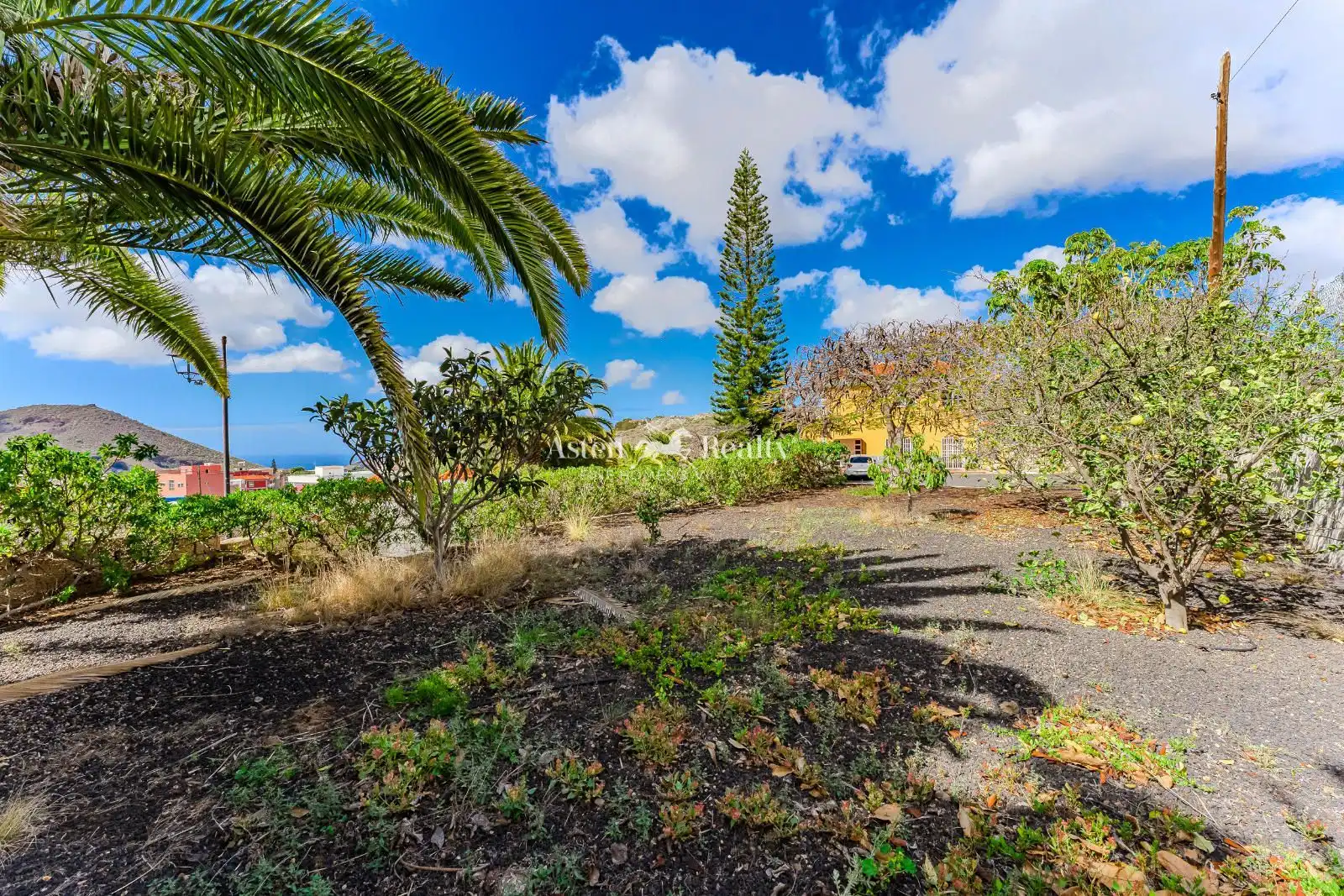 Vista exterior de Casa o chalet en venta en San Miguel de Abona con Aire acondicionado, Calefacción y Jardín privado