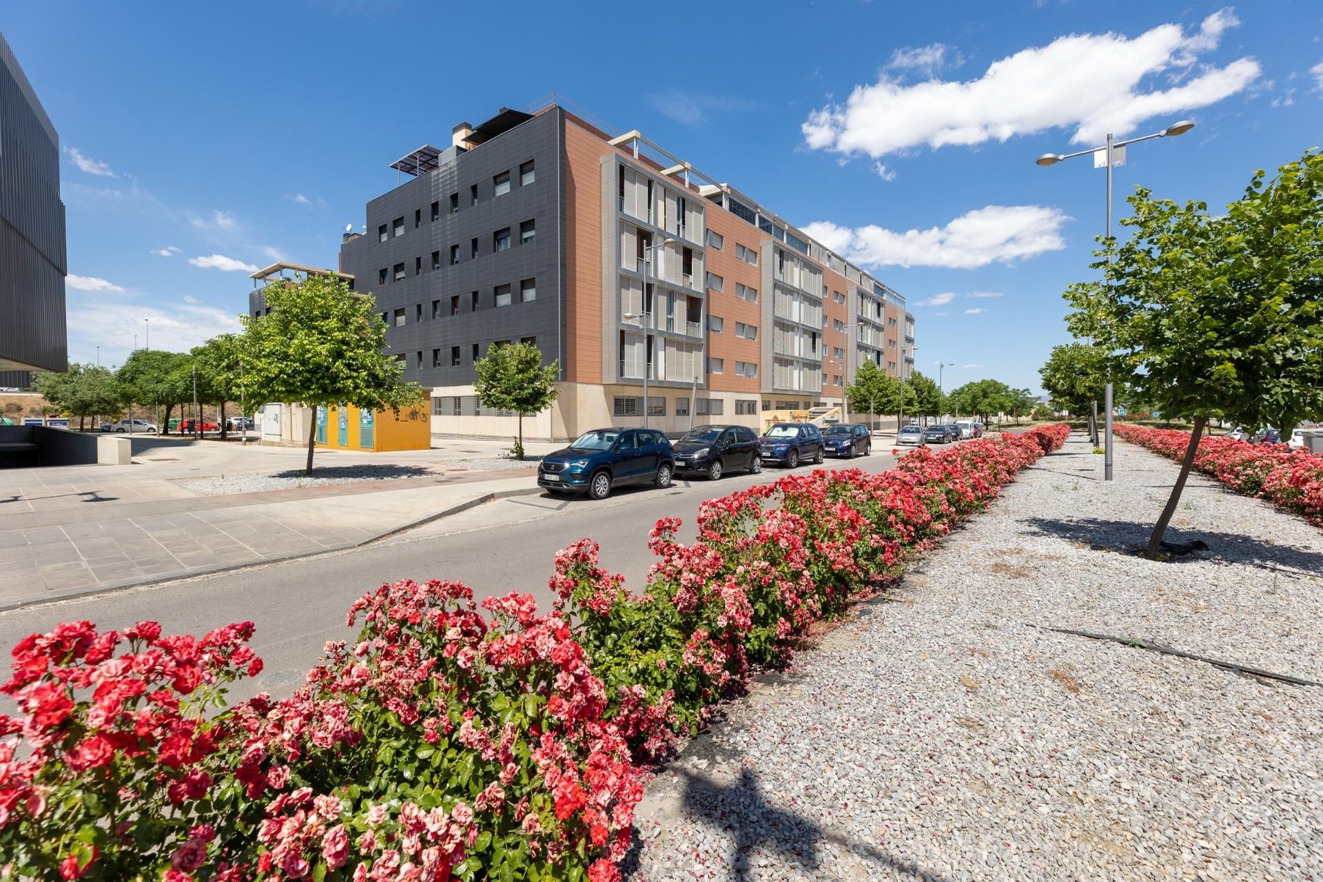 Vista exterior de Piso en venta en Armilla