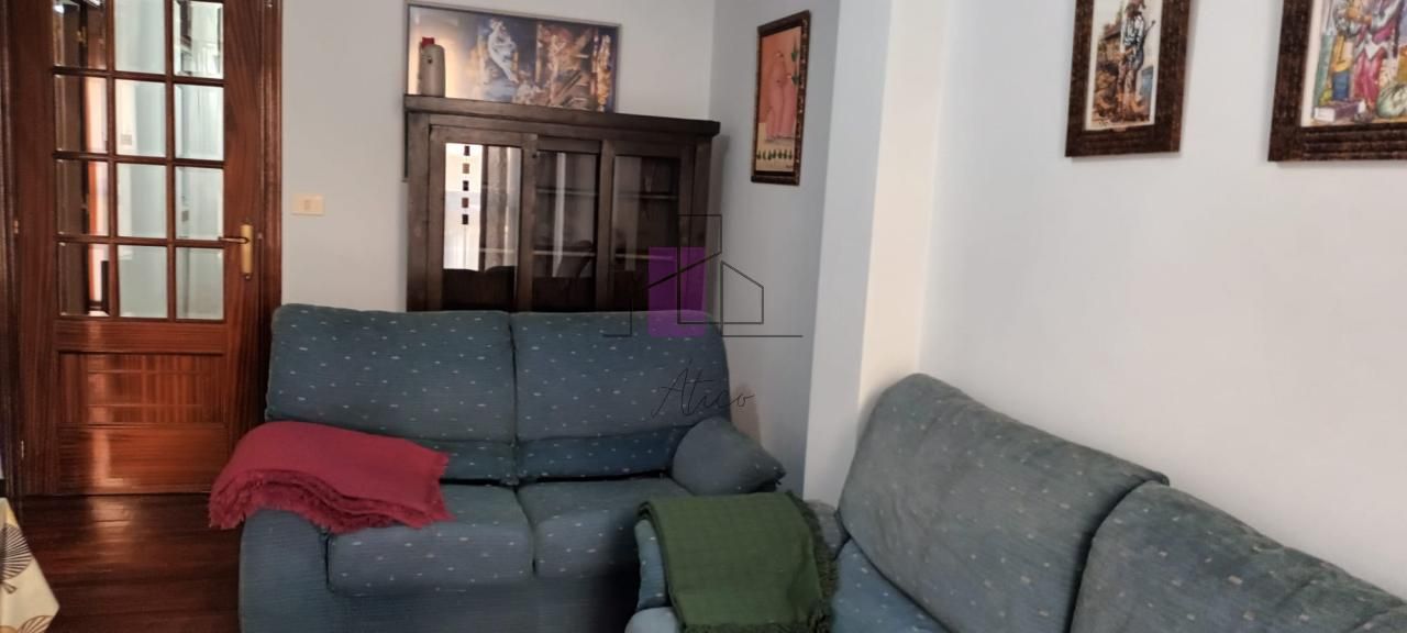 Sala d'estar de Pis de lloguer en Ourense Capital  amb Calefacció, Parquet i Terrassa