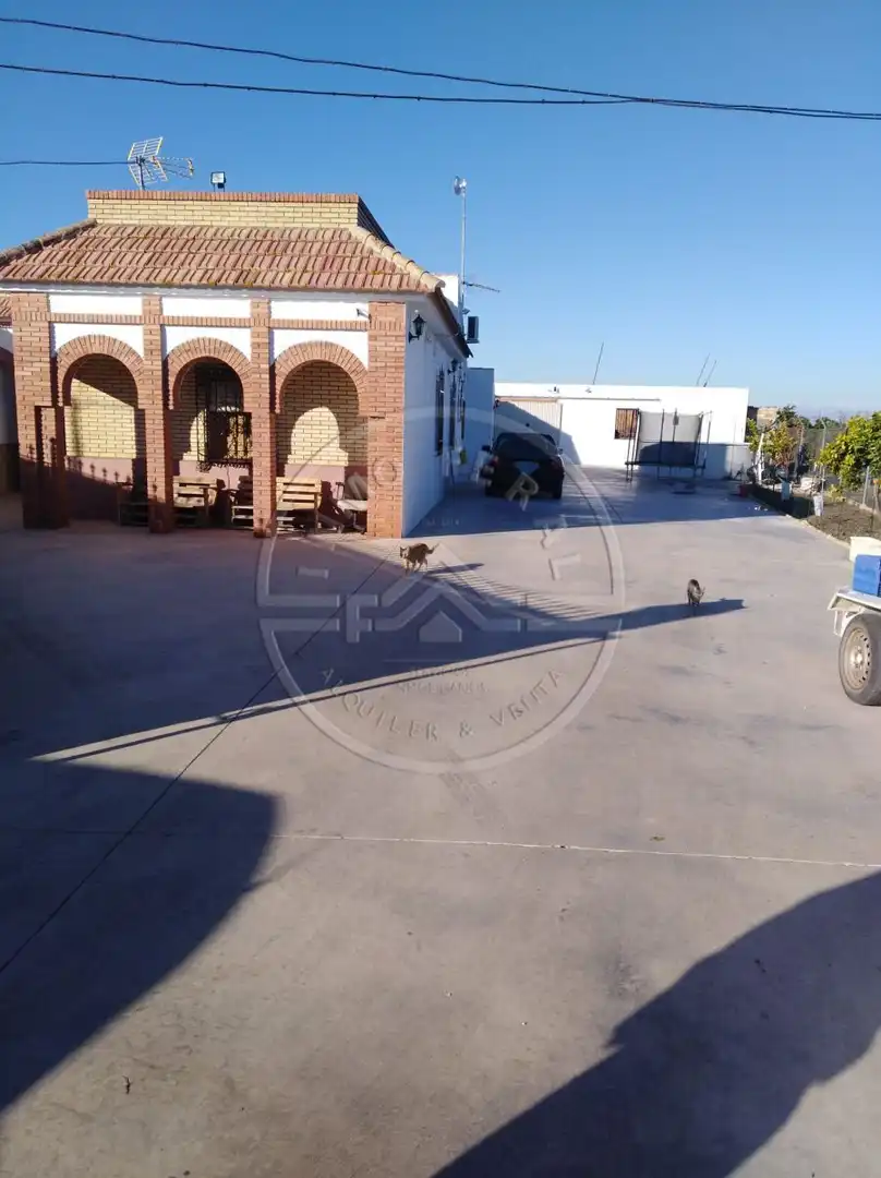 Terreny rústic en venda a Fuente Palmera, imagen 15