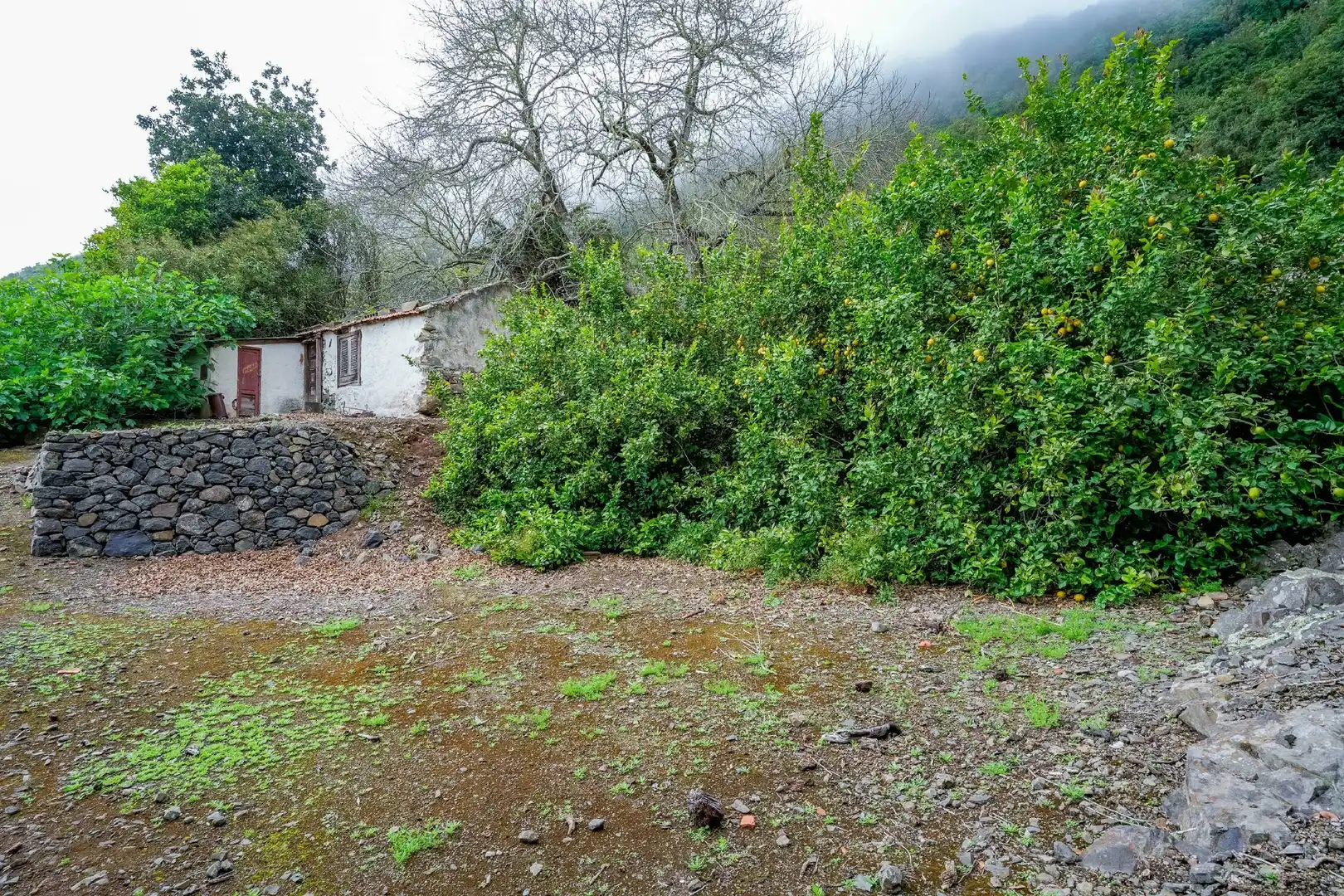 Finca rústica en venda a Hermigua