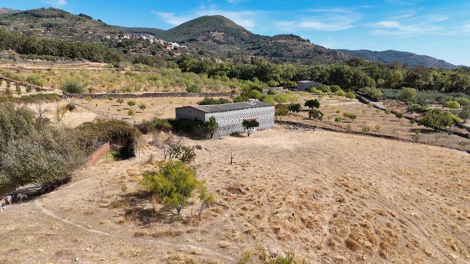 Land for sale in Arroyomolinos de la Vera