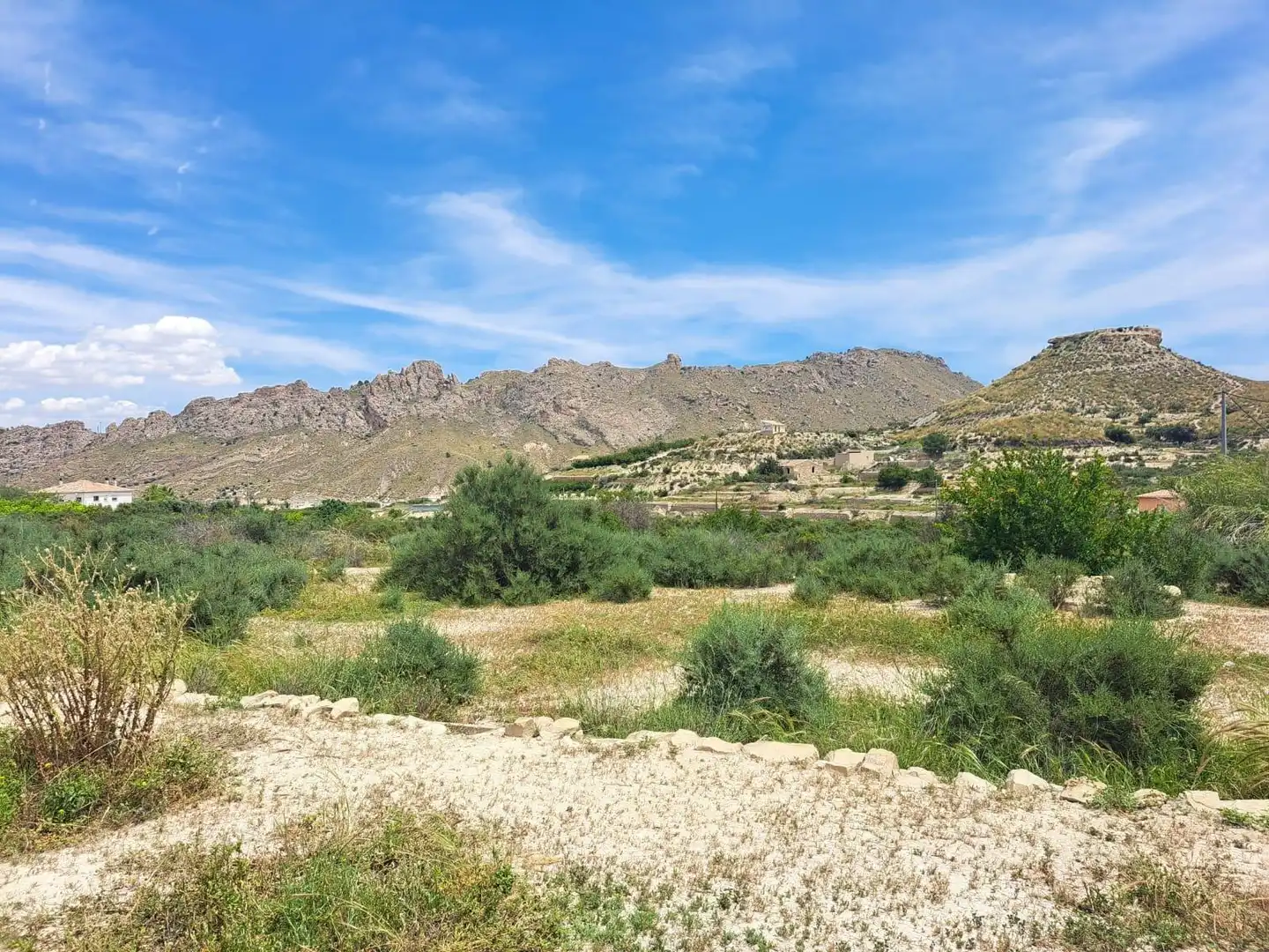 Residential land for sale in Abarán, imagen 16