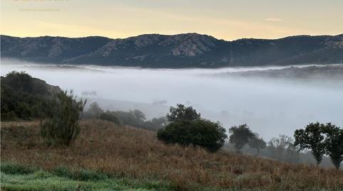 Foto 5 de Finca rústica en venda a Centro - Plaza Mayor, Ciudad Real Capital