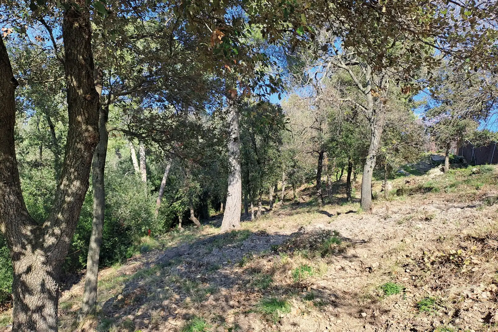 Lands and plots for sale in CANIGO, imagen 15
