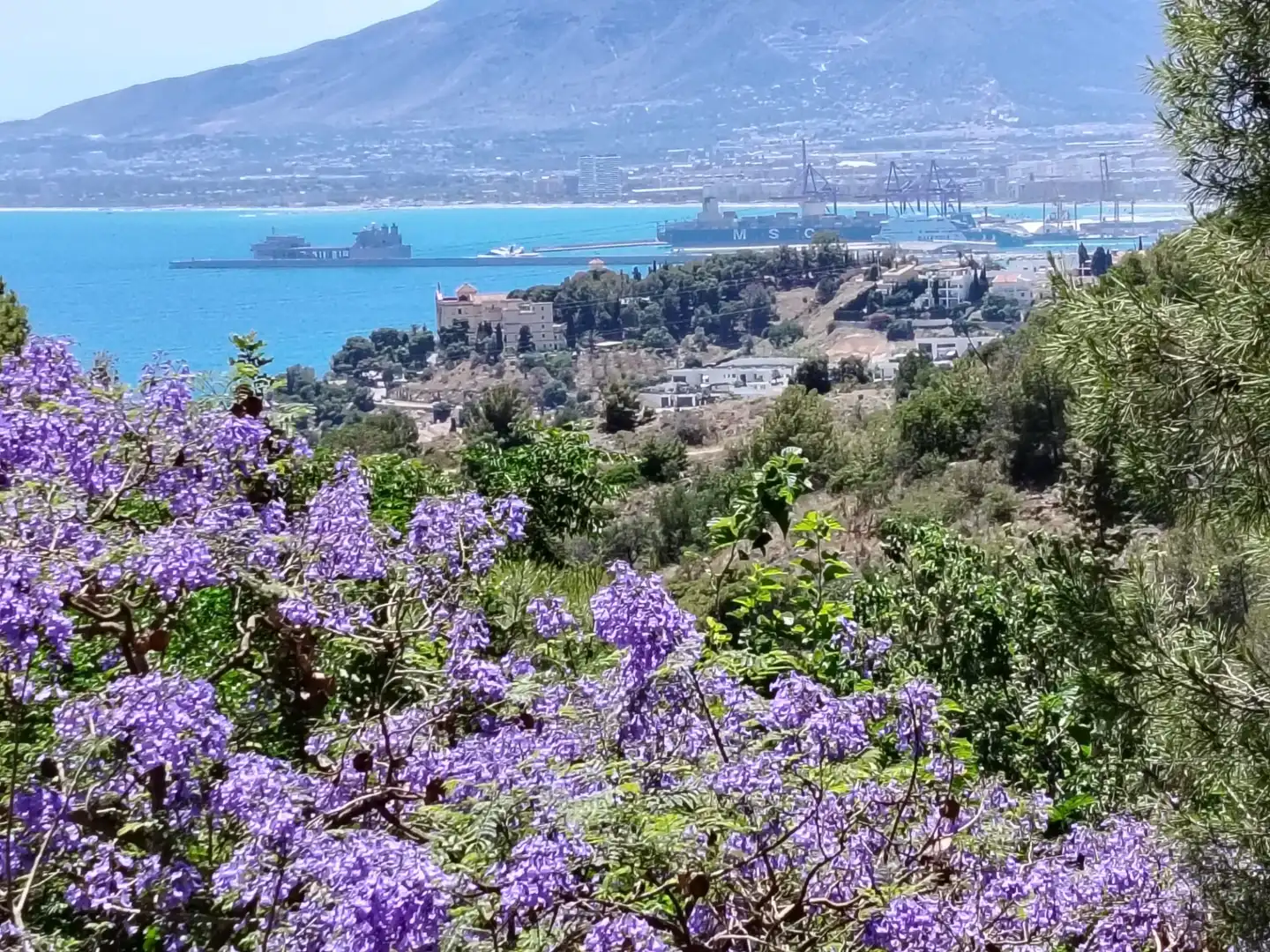 Vista exterior de Casa o chalet en venta en Málaga Capital con Jardín privado, Terraza y Piscina