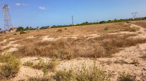 Foto 4 von Residential zum Verkauf in Alzabares, Elche / Elx