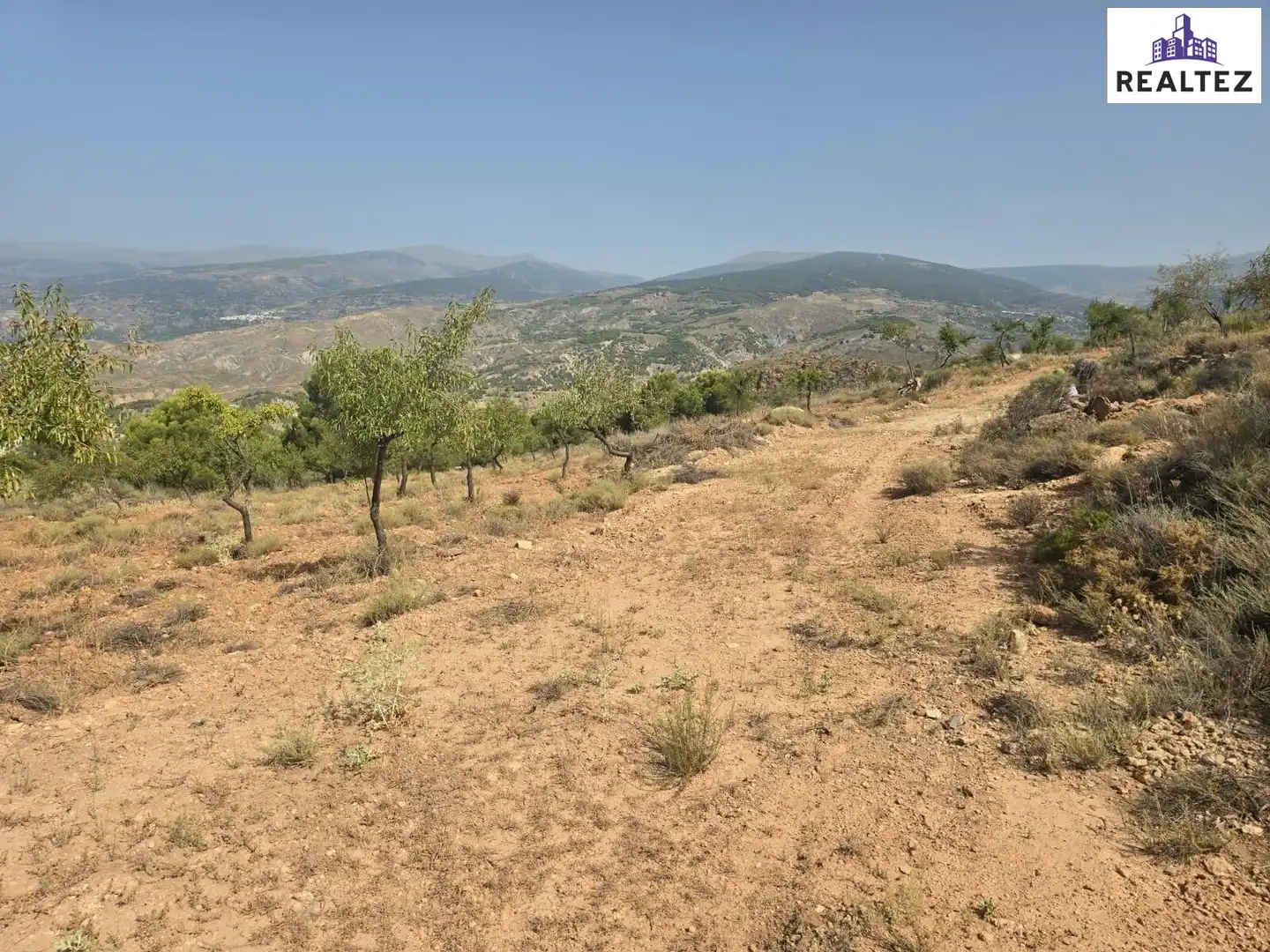 Terrain rustique à vendre à Alcolea, imagen 19