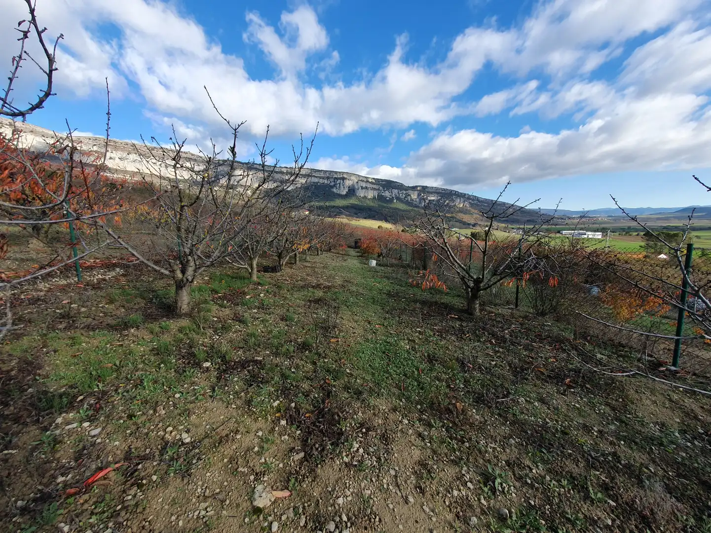 Terreno en venta en Echarri / Etxarri