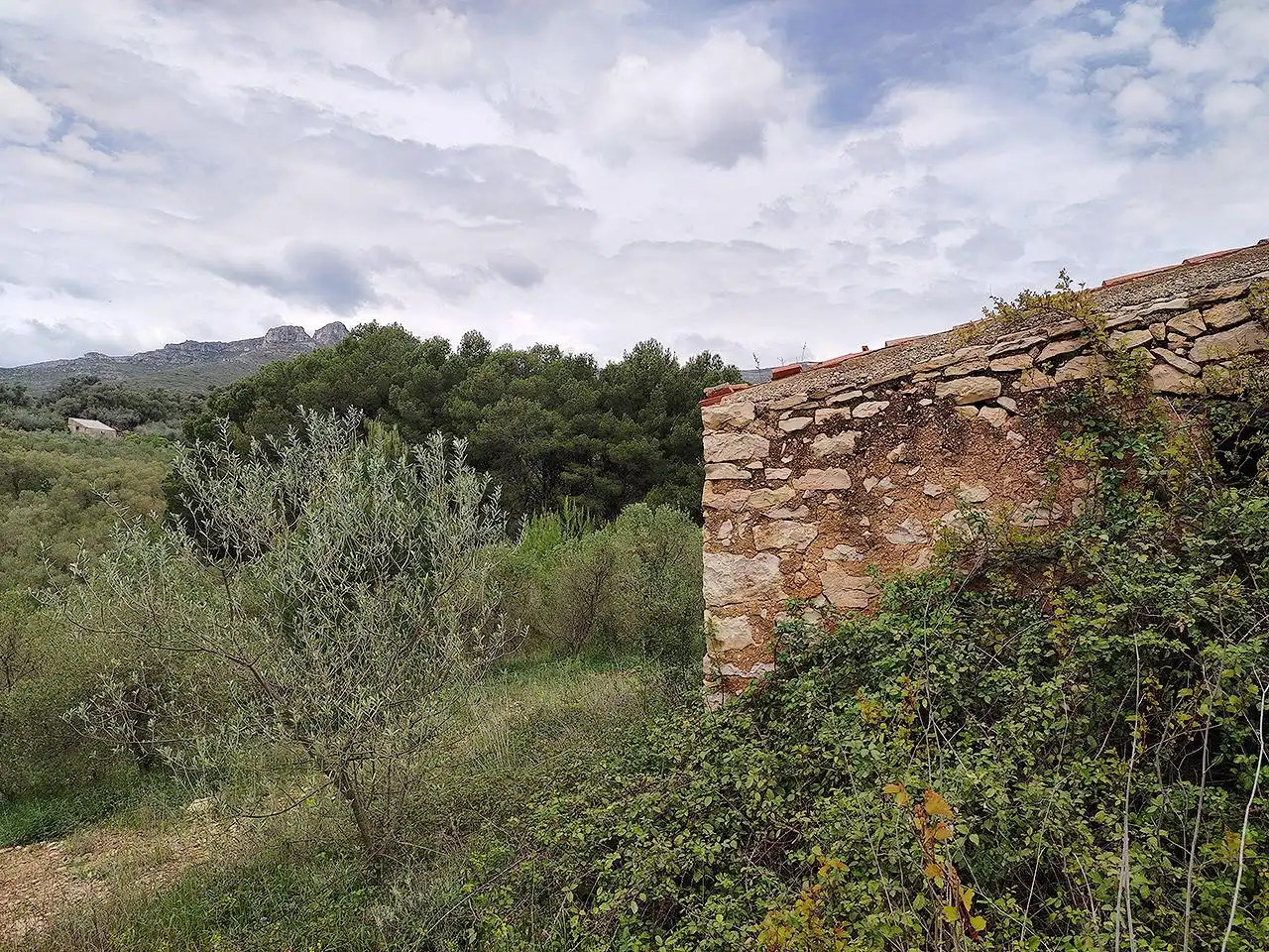 Finca rústica en venta en La Sénia con Terraza