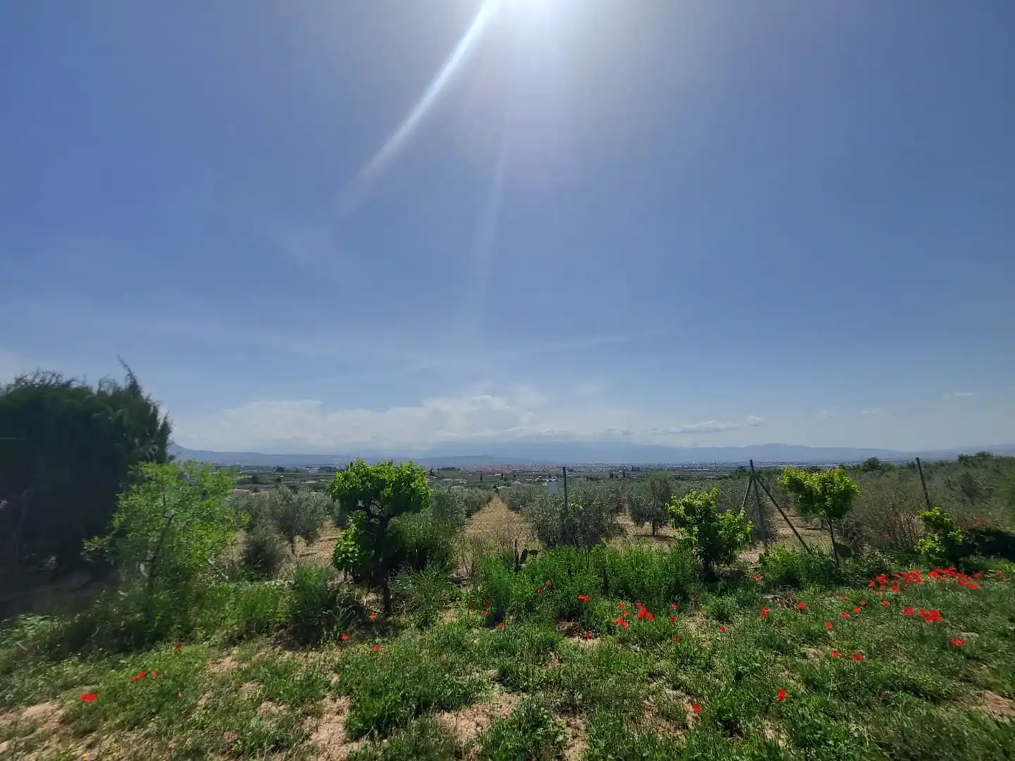 Terrenos y solares en venta en El Torreón - Cortijo Pretel, imagen 20