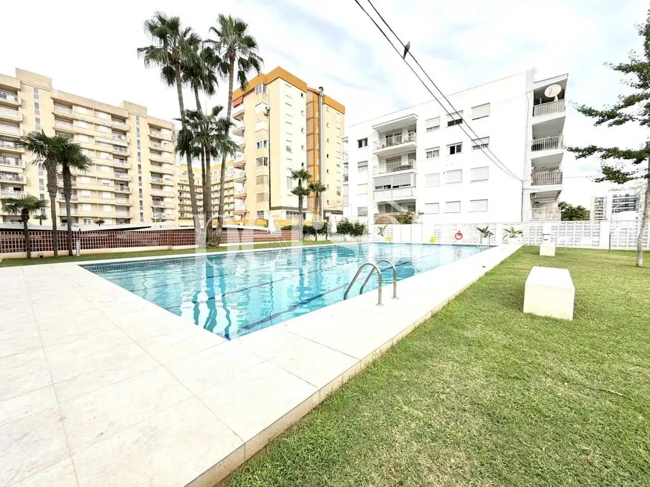 Swimming pool of Flat for rent in Playa de Gandia