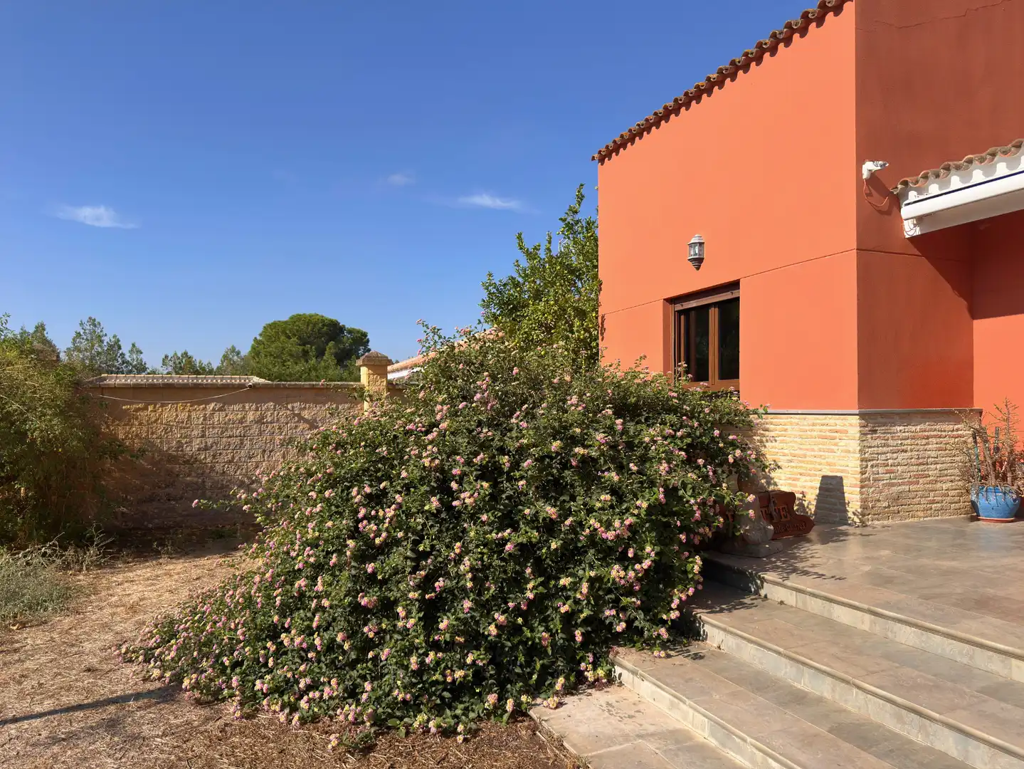 Vista exterior de Casa o chalet en venta en Carmona con Aire acondicionado, Calefacción y Jardín privado