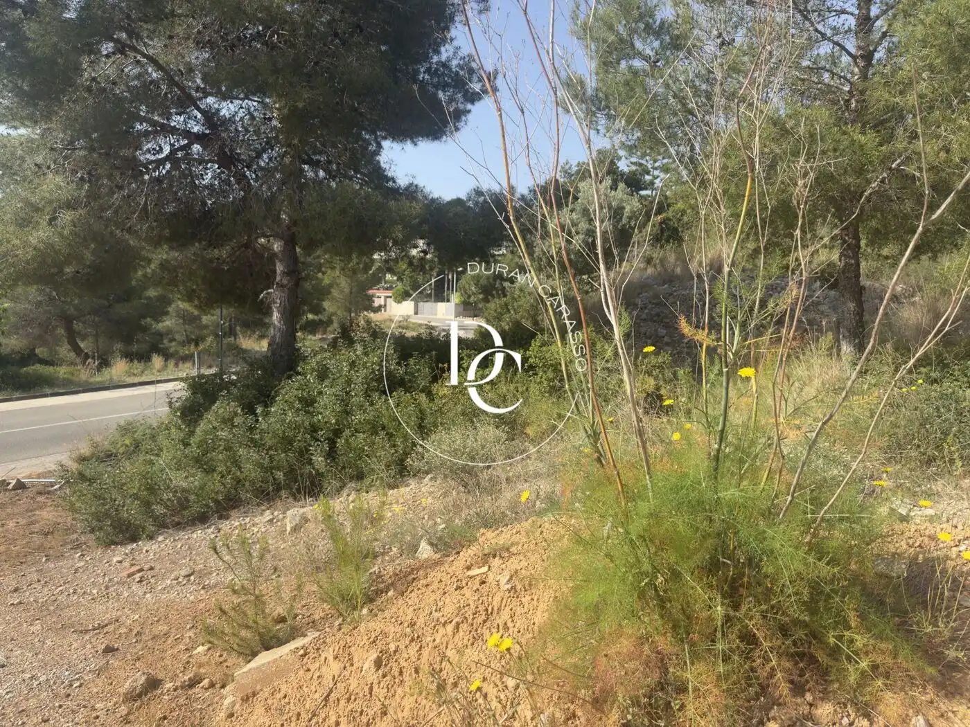 Terrenys i solars en venda a Avinguda del Camí de Can Girona, imagen 6