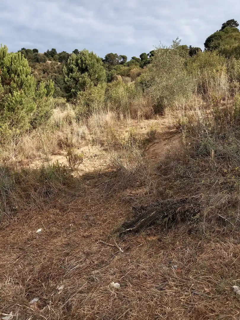 Terrenos y solares en venta en Sant Cebrià de Vallalta, imagen 6