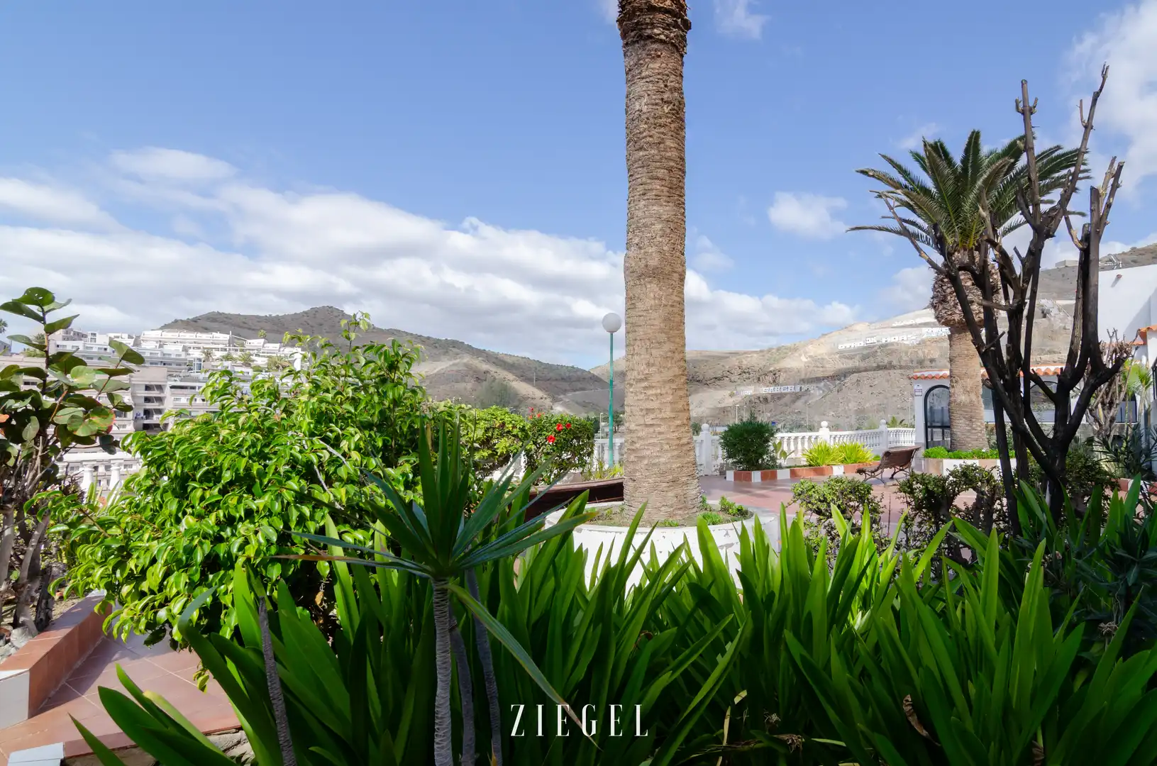 Exterior view of Houses for rent in Mogán  with Terrace, Swimming Pool and Furnished