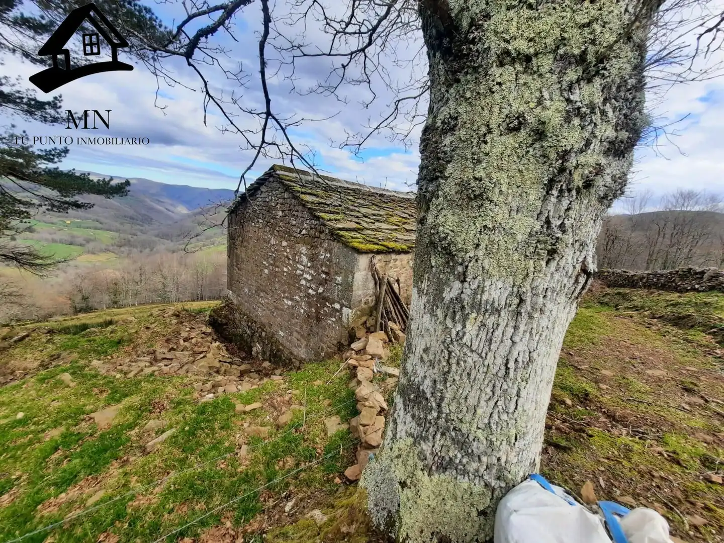 Finca rústica en venda en San Pedro del Romeral amb Jardí privat