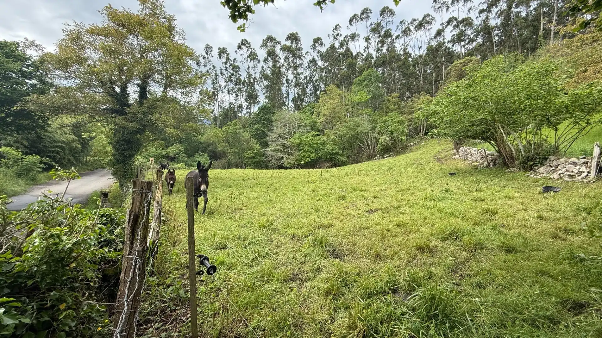 Land for sale in Valdáliga