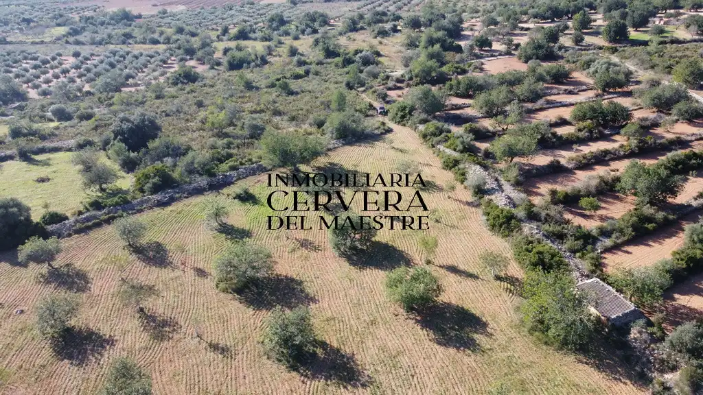 Terreno rustico in vendita a Cervera del Maestre, imagen 14