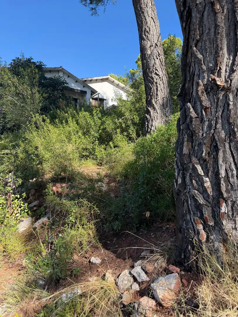 Terreno residencial en venta en Carrer Santa Elena, 10, Aire-Sol, Spain, imagen 14