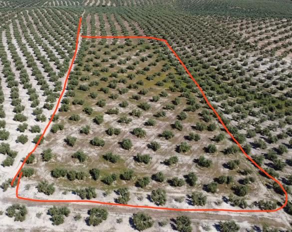 Grundstücke zum verkauf in  Jaén Capital