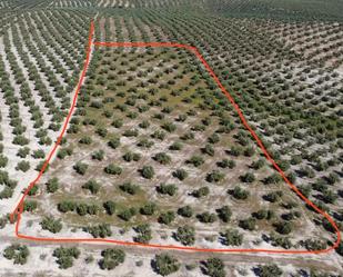 Land for sale in  Jaén Capital