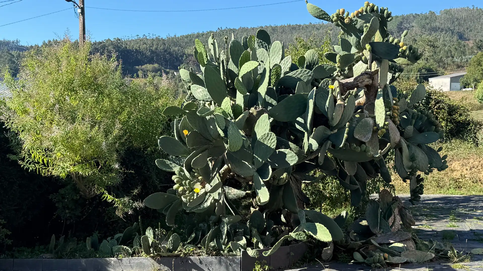 Casa amb jardí en venda a Ortigueira, imagen 5
