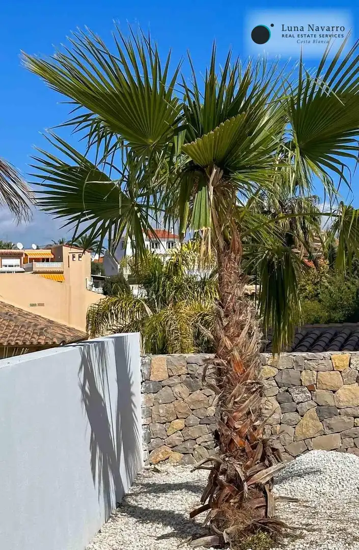 Casa adosada en venda a Calle Almendros, Zona Pueblo