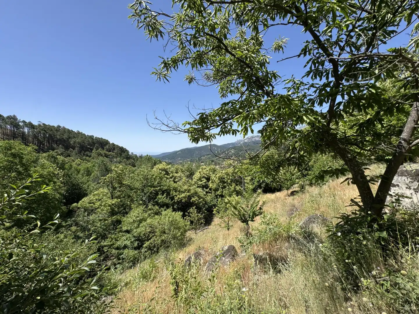 Finca rústica en venta en El Arenal  con Jardín privado