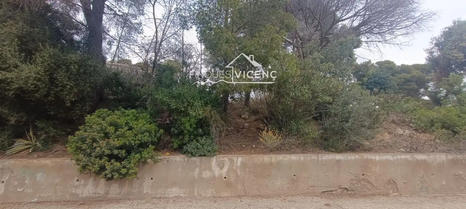 Terreno rústico en venta en SAL, imagen 2
