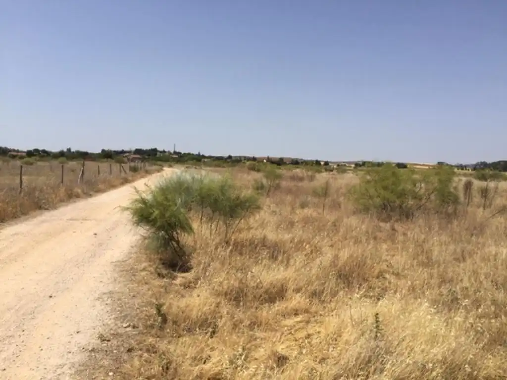Terreny rústic en venda a ALONDRA (DE LA), imagen 4