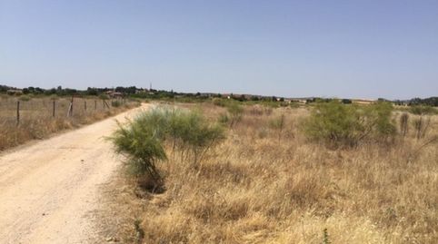 Solvia Inmobiliaria  Suelo Urbanizable Fresno de Torote, immagine 4