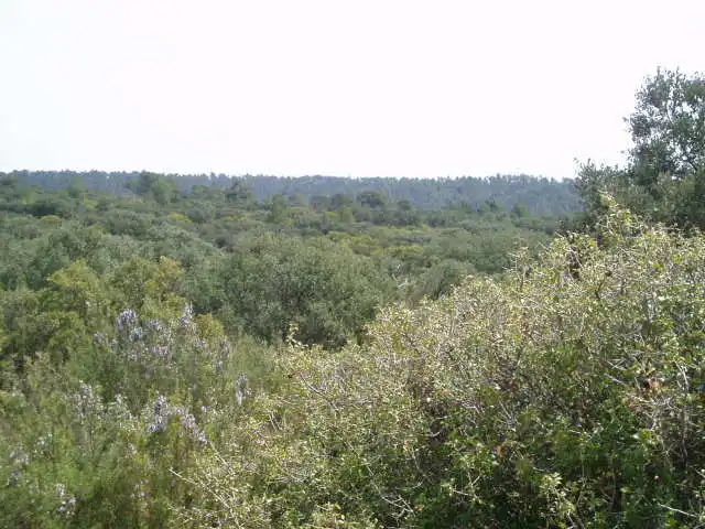 Terreni e lotti in vendita a Motilla del Palancar, imagen 14