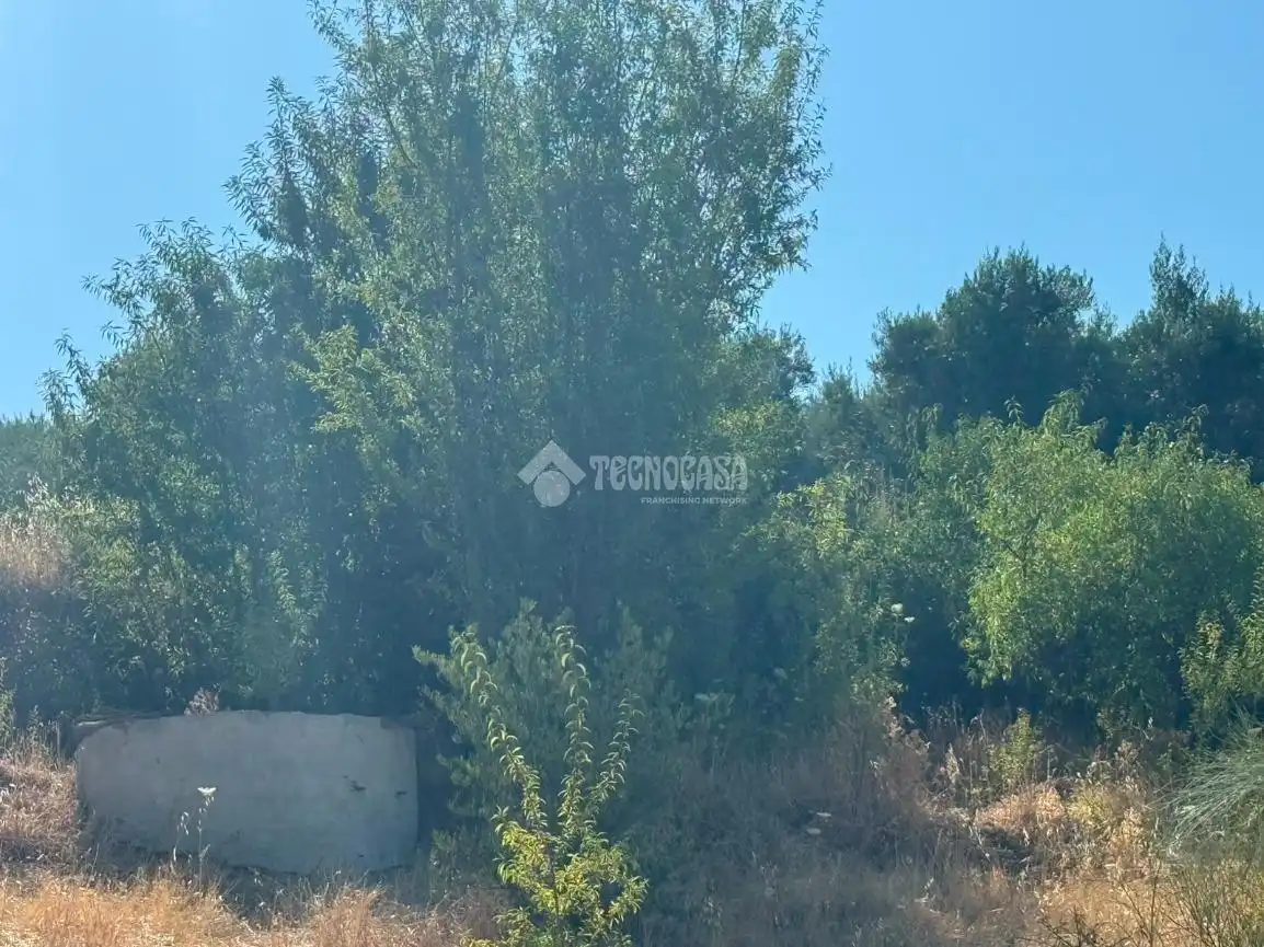 Terreni e lotti in vendita a Martos, imagen 27
