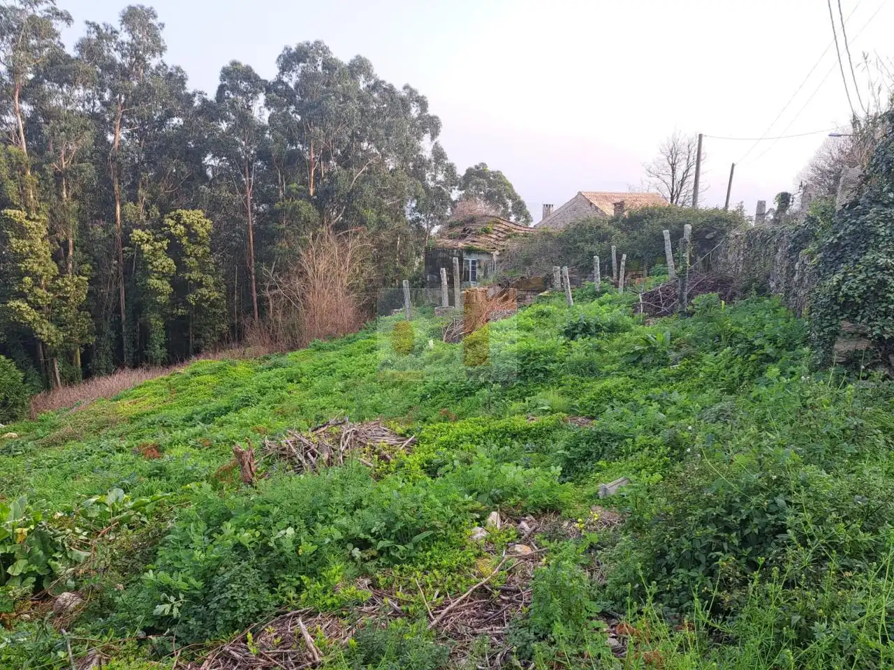 Finca rústica en venda en Moaña amb Calefacció