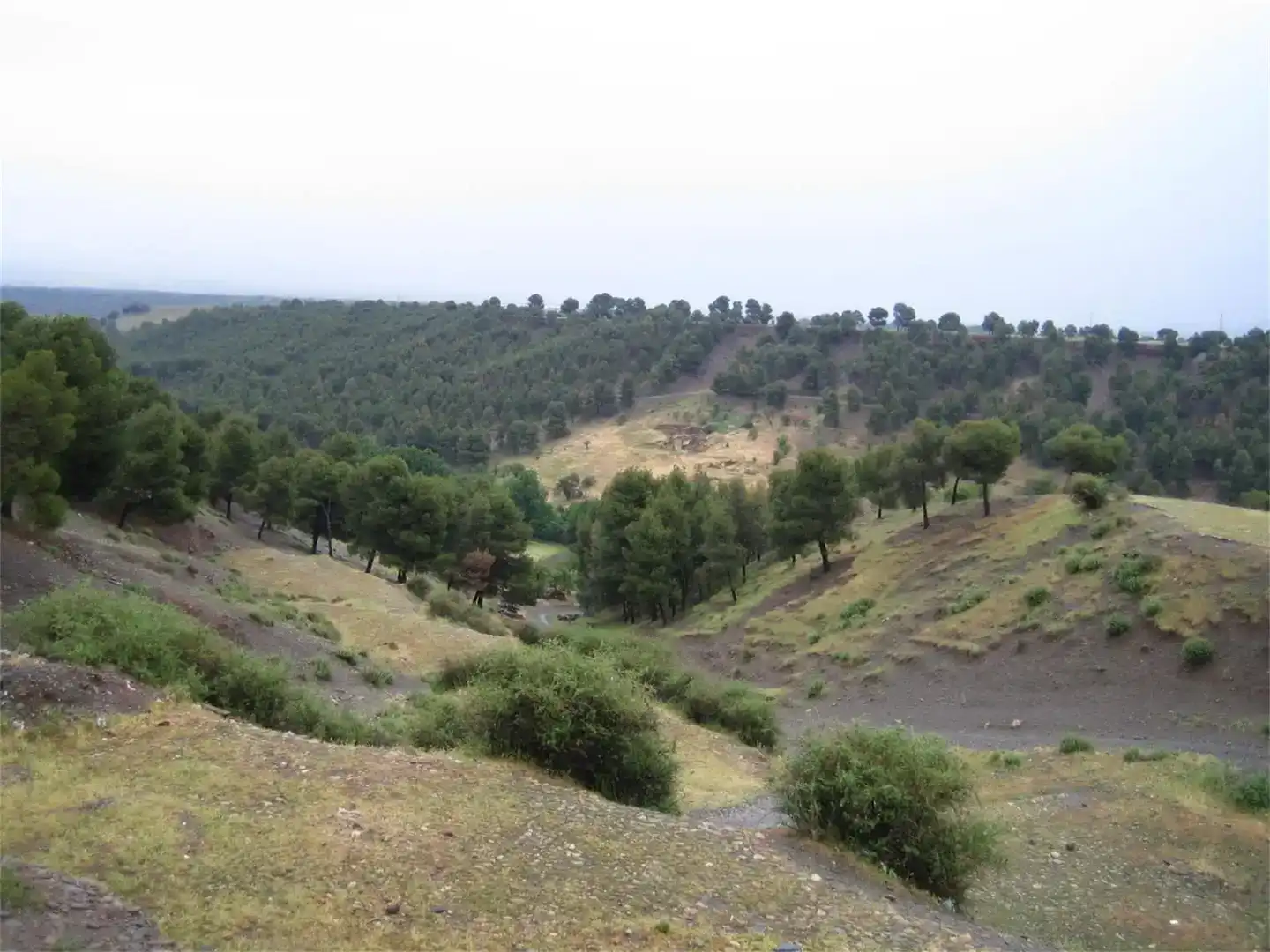 Terreno en venta en Albuñán