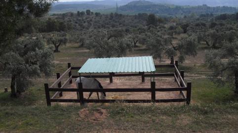 Photo 2 of Land for sale in Avinguda Barcelona, 5, Flix, Tarragona