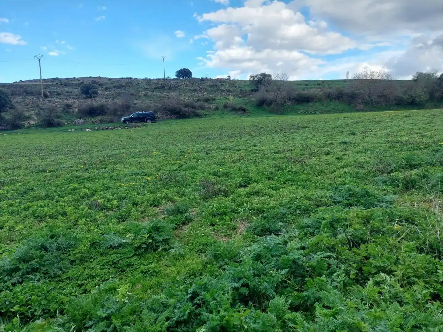 Terreno en venta en Suellacabras