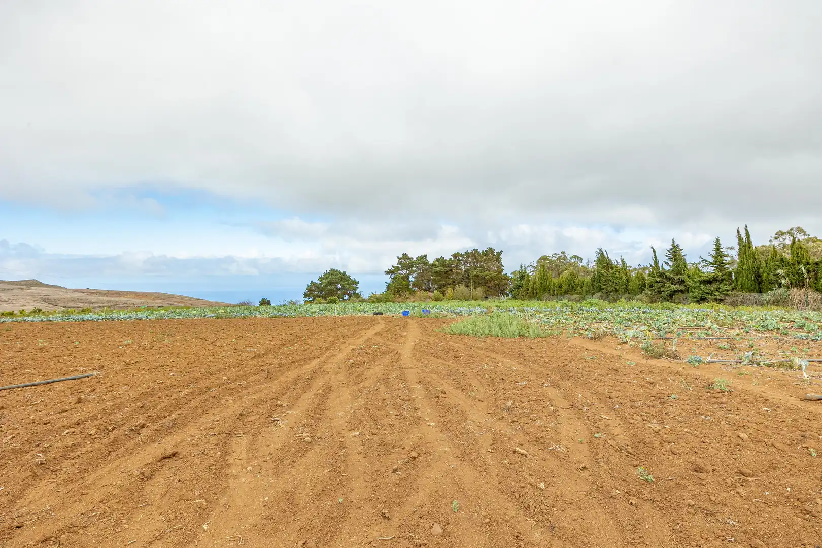 Residencial en venta en Lugar Lomo del Poleo, Saucillo - Fagajesto - Juncalillo