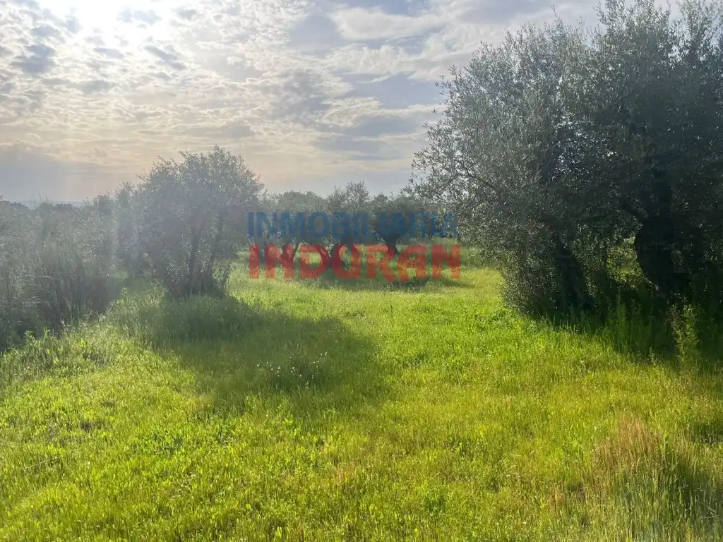 Finca rústica en venta en Millanes
