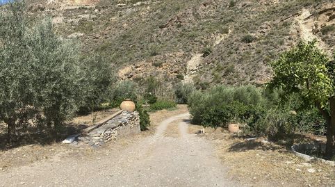 MacaelVilla, image 2