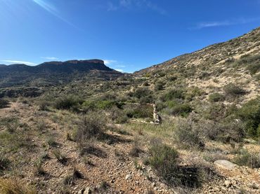 Rural land for sale in Crevillent