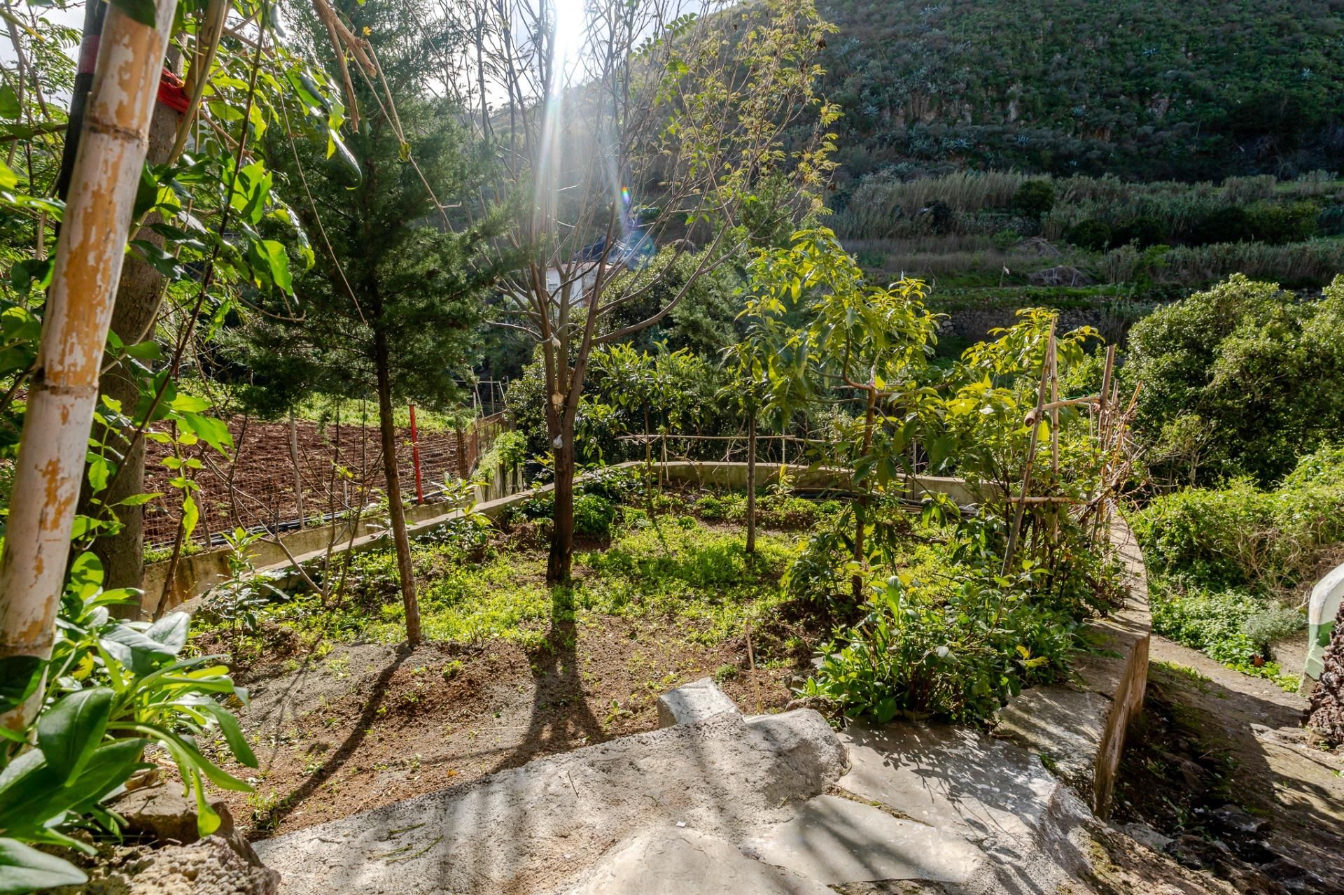 Garden of House or chalet for sale in Las Palmas de Gran Canaria