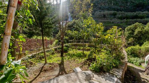 Photo 3 of House or chalet for sale in Camino Lugar Diseminado Bascamao, 13, 35450, Arenales - Lugo - Avda. Marítima, Las Palmas de Gran Canaria