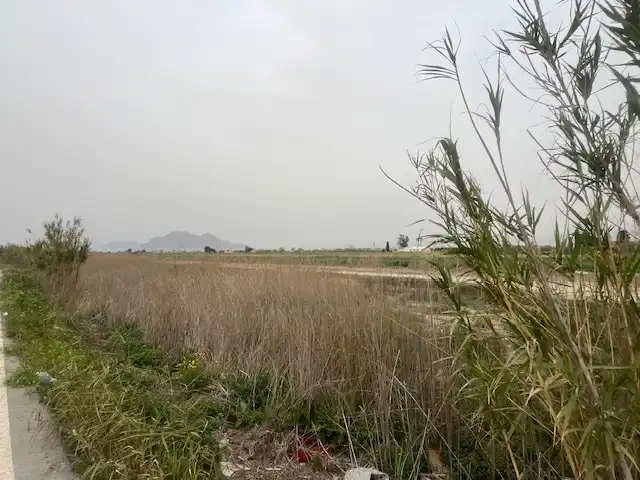 Terreni e lotti in vendita a El saladar
