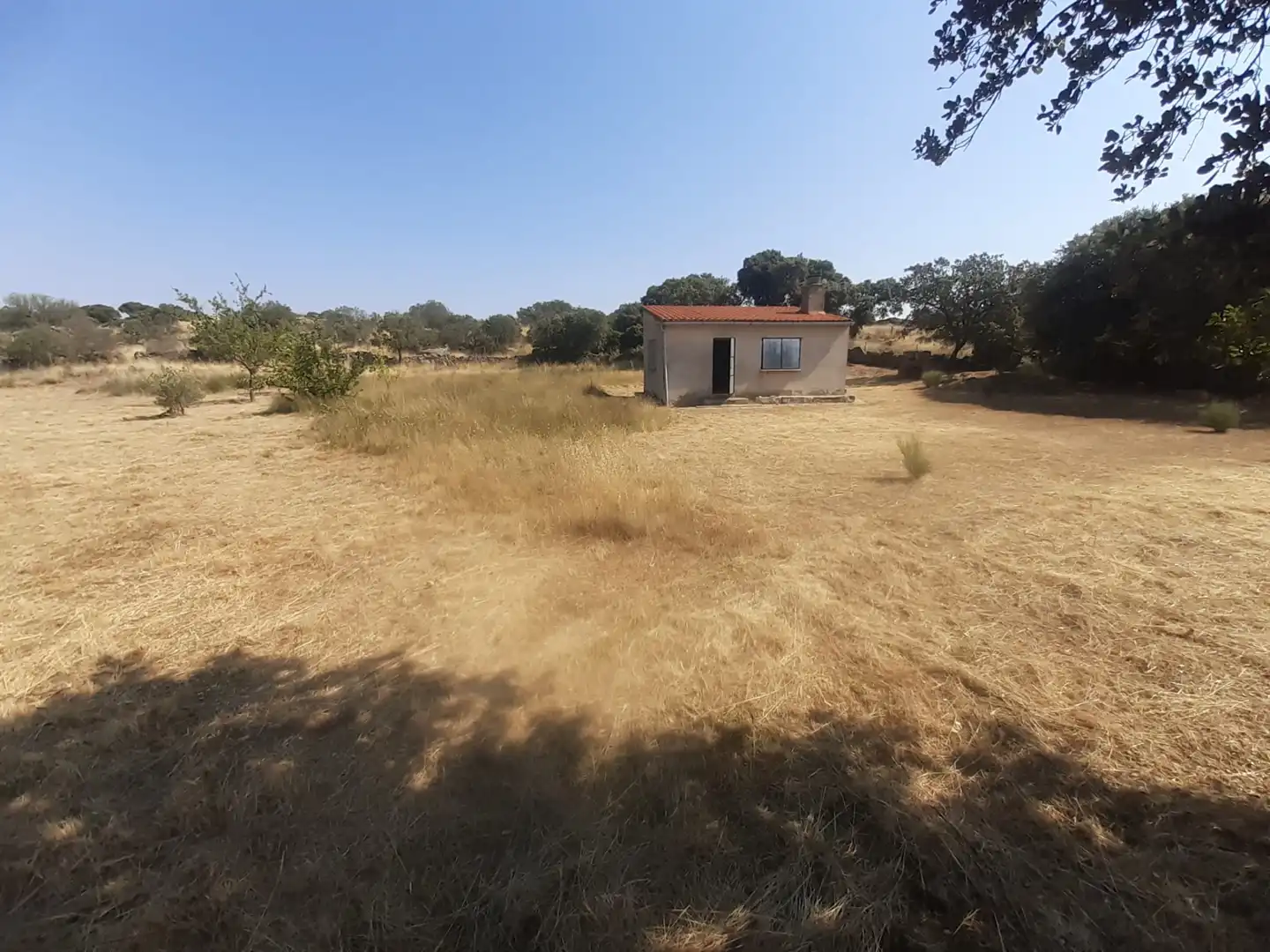 Land for sale in Almeida de Sayago
