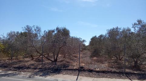 Photo 4 of Residential for sale in Pilar de la Horadada ciudad, Alicante