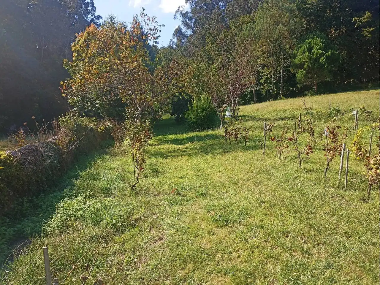 Terreni e lotti in vendita a Brión, imagen 20